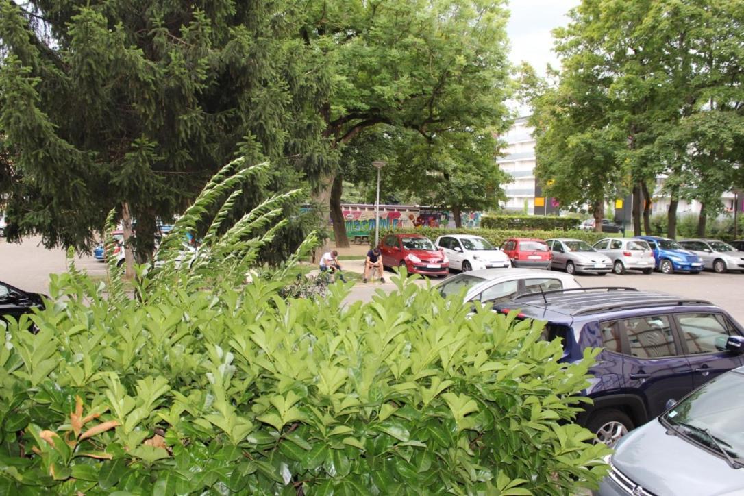 Studios Lora Rm 860 Saint-Louis  Dış mekan fotoğraf